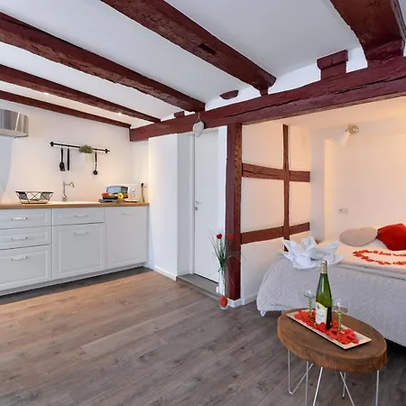 Apartment La Stub De La Petite Venise Colmar